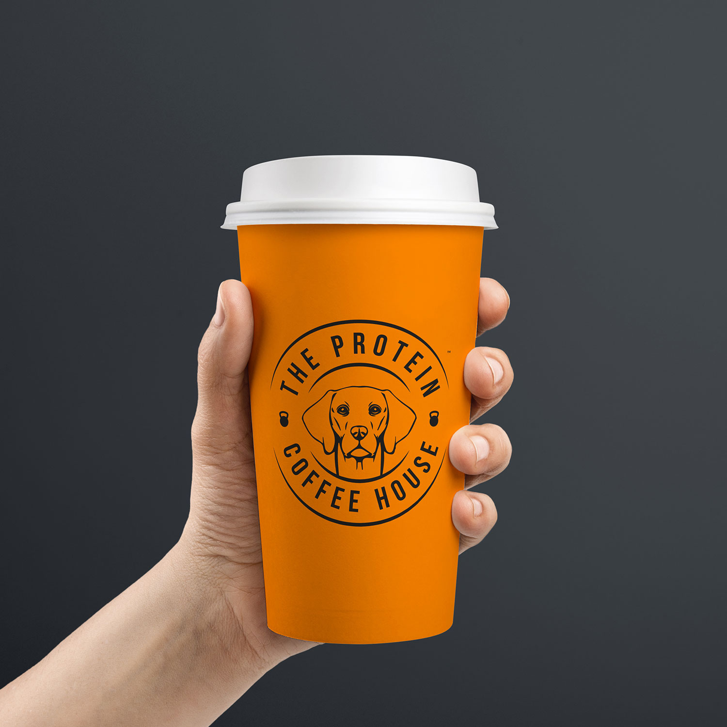 Funke-Protein-Coffee-House-Cup